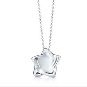 Tiffany and Co Elsa Peretti Star Pendant Necklace